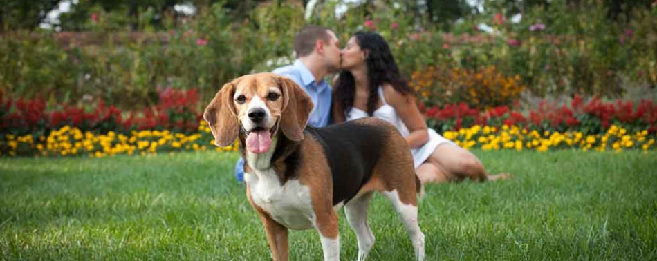 Rosie is happy for us...